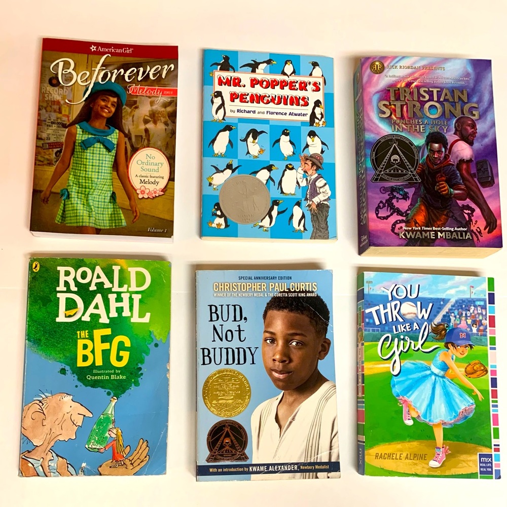 LOT - 6 Chapter Book Bundle